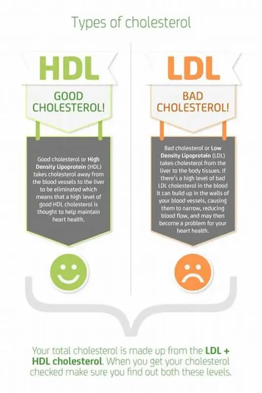 Does Ozempic Raise Cholesterol